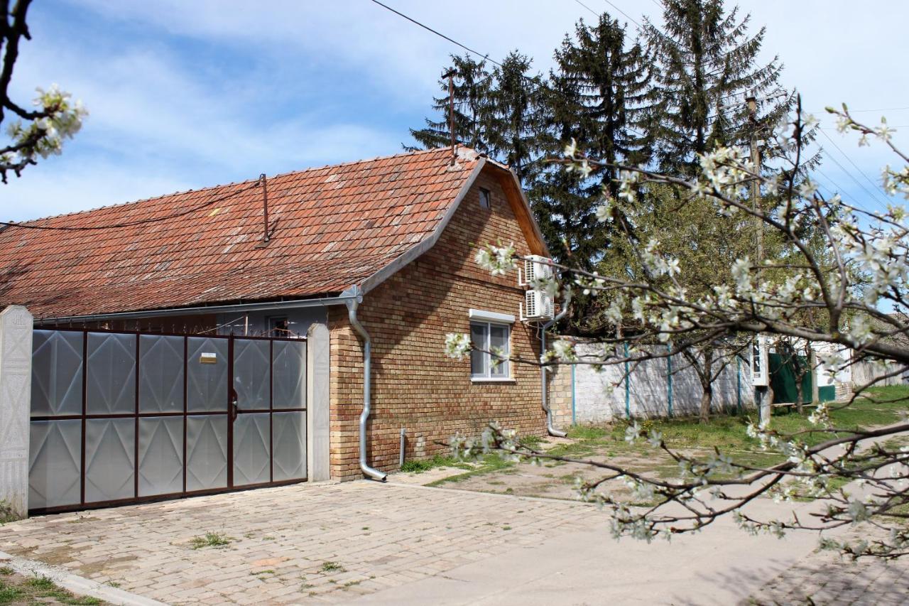 Julia Apartman Pacir Exterior photo